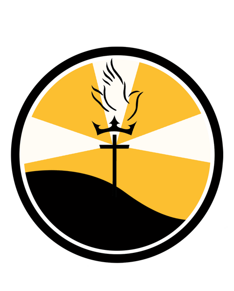 The Noise 24 logo