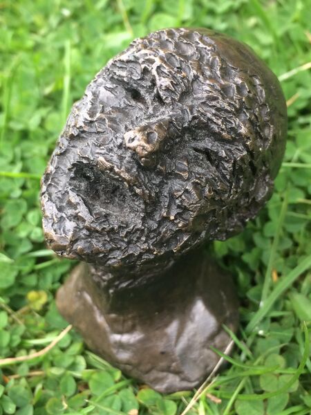 Bald Statements Bronzes Disbelief - CH pic April 19